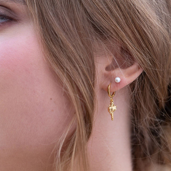 Amano Conch Shell Huggie Hoop Earrings