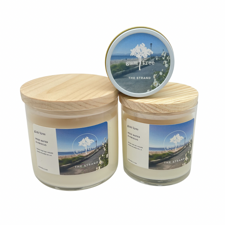 Gum Tree The Strand Travel Tin