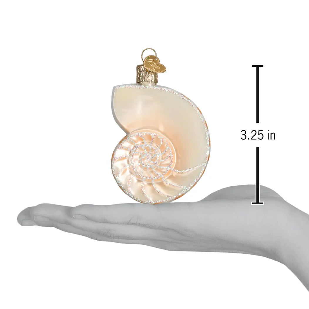 Nautilus Shell Ornament
