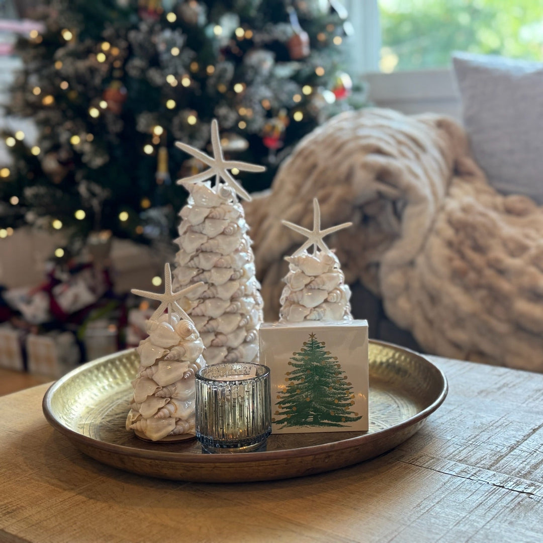 Angel Wing Shell Tree 4"