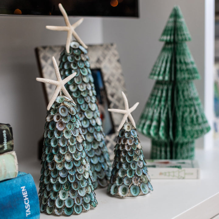 Blue Limpet Tree