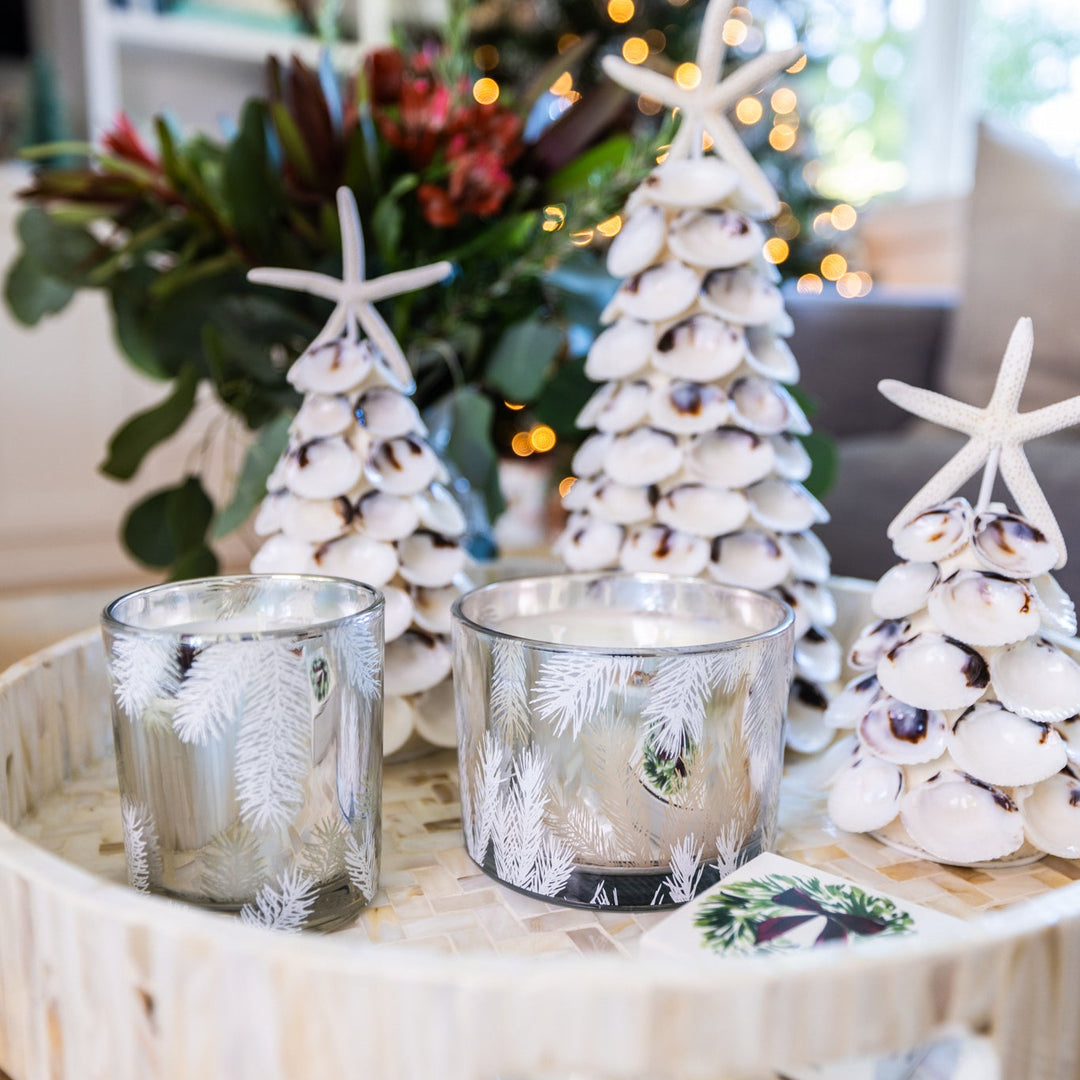 White Clam Seashell Tree