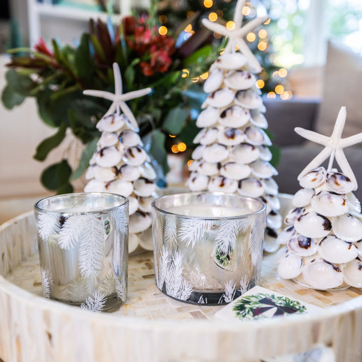 White Clam Seashell Tree