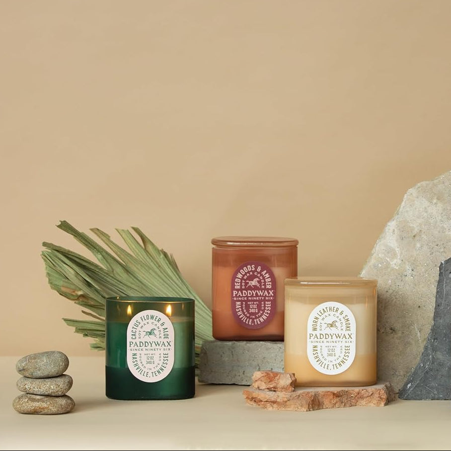 Vista Candle Cactus Flower &amp; Aloe 12 oz