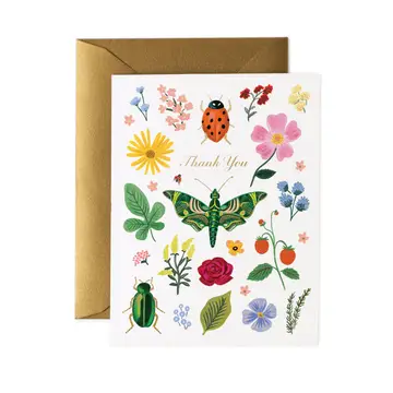 Curio Thank You Card