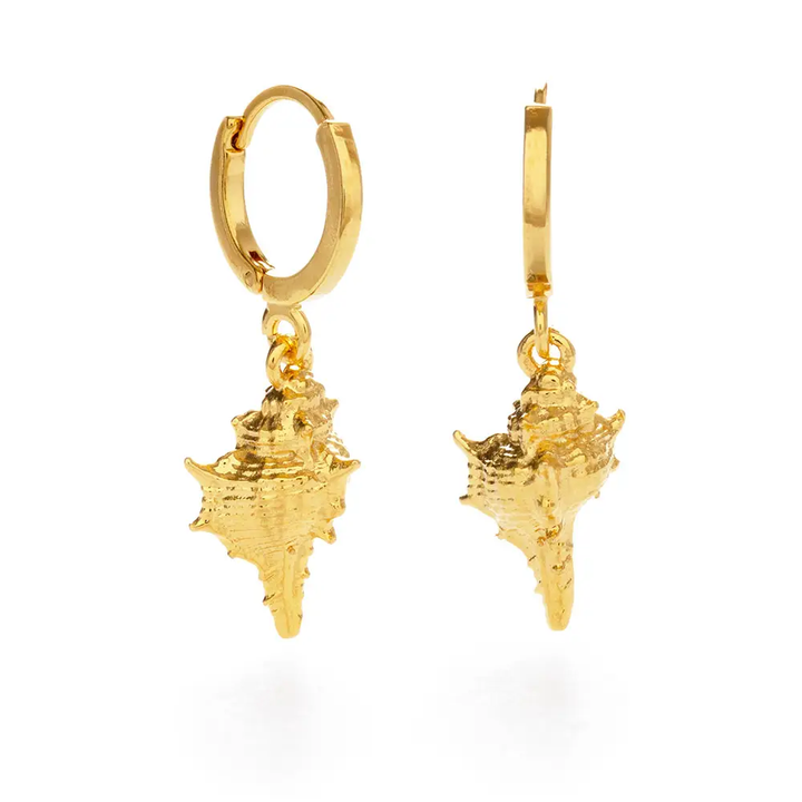 Amano Conch Shell Huggie Hoop Earrings