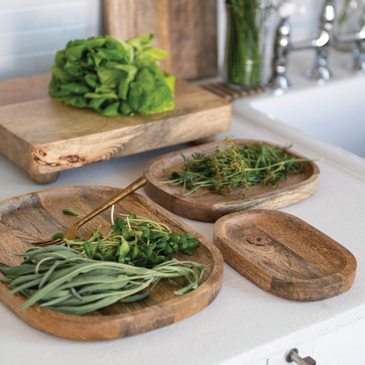 Oval Mango Wood Trays / Set of 3