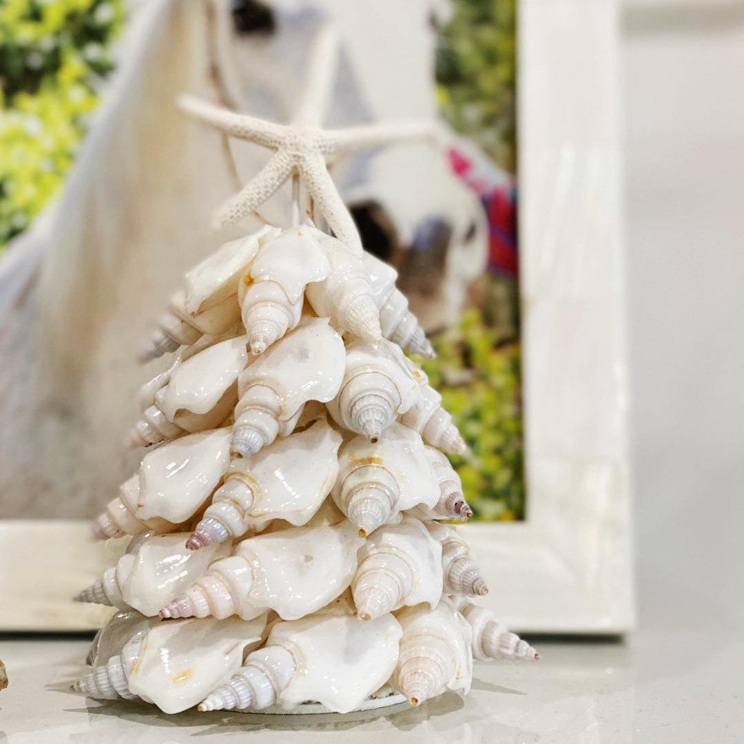 Angel Wing Shell Tree 4"