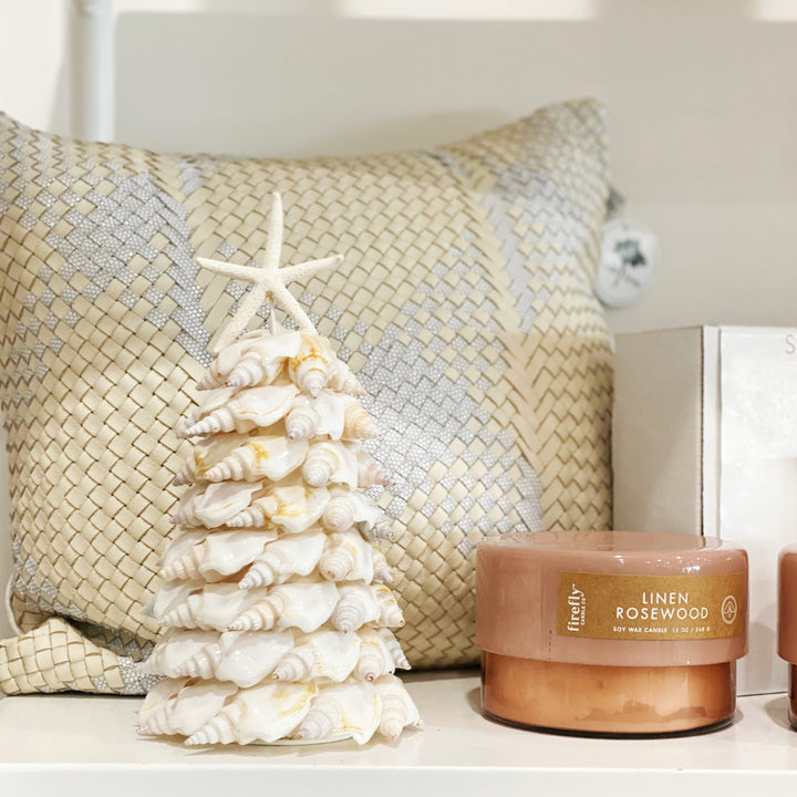 Angel Wing Shell Tree 6"