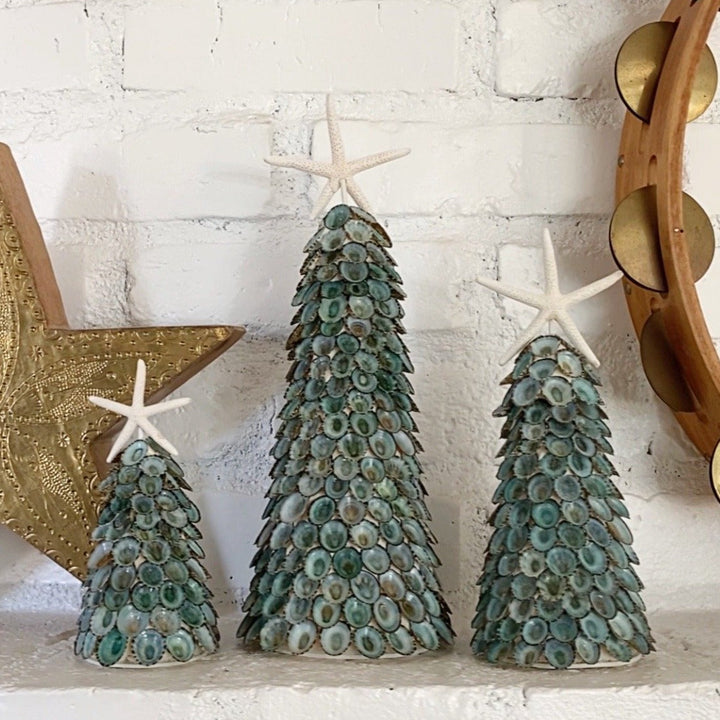 Blue Limpet Tree