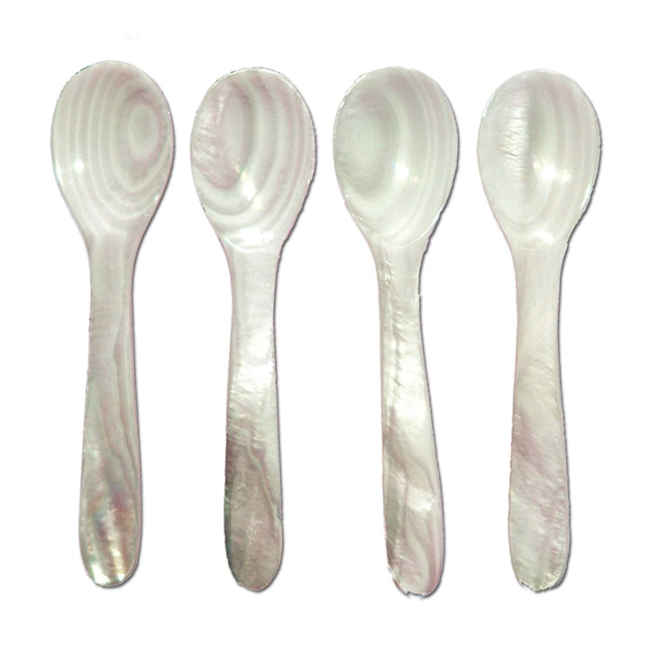 Sea Shell Spoons - Set of 4 Large