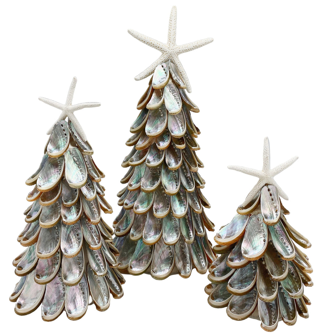 Silver Abalone Tree