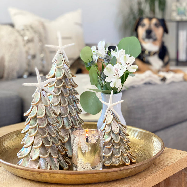 Silver Abalone Tree