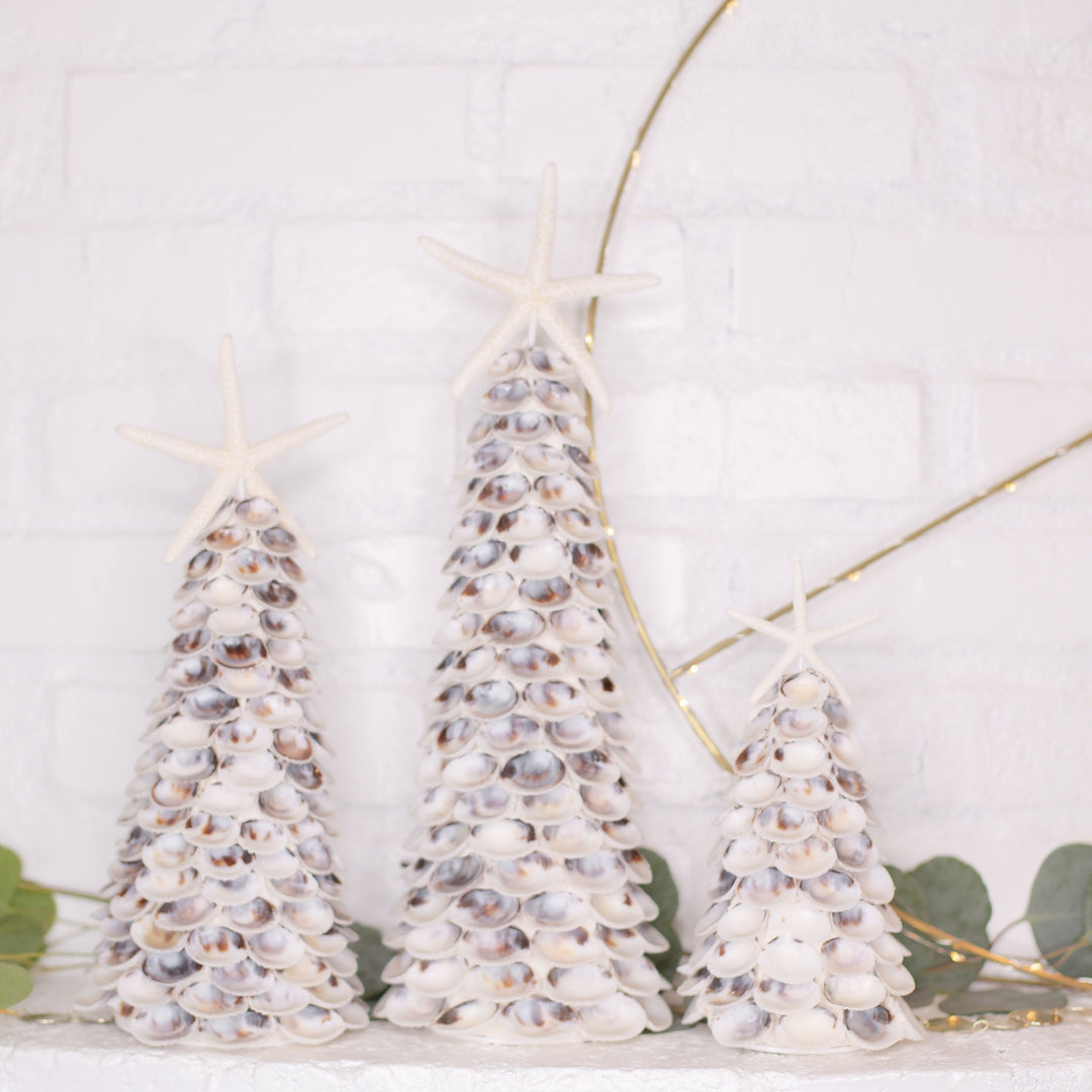 White Clam Seashell Tree