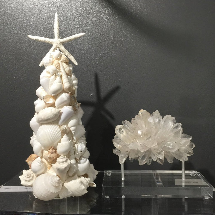 World Mix White Shell Tree